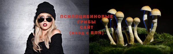 прущие крисы Покров
