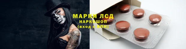 ALPHA PVP Покровск