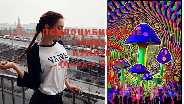 мет Пестово