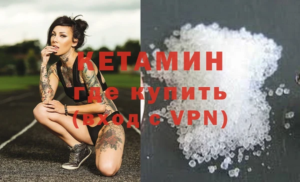 трава Пересвет