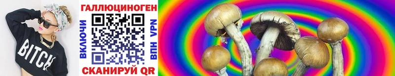 Псилоцибиновые грибы Psilocybe  Купить  Электроугли 
