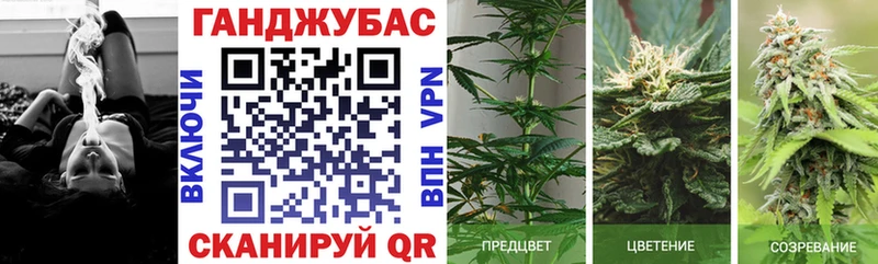 Купить где  Электроугли  Каннабис Amnesia 